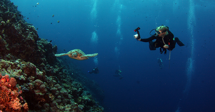 YouTrip's Guide To The Best Scuba Diving Sites In Asia