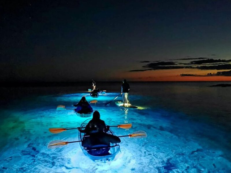Paddlers in clear kayaks over glowing blue bioluminescent water at dusk