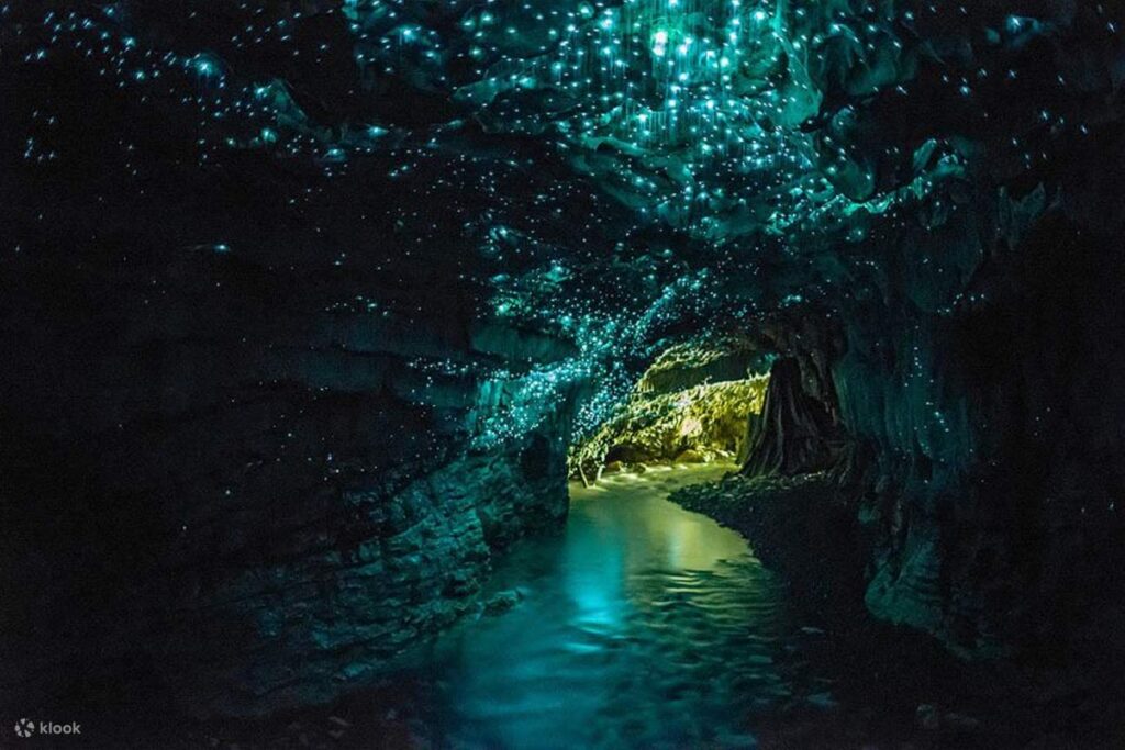 Thousands of blue glowworms lighting a cave ceiling above an underground river, Waitomo