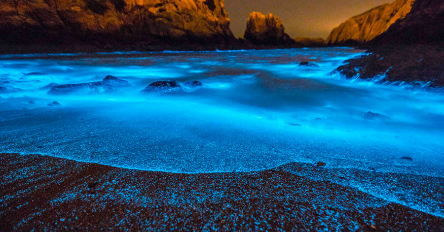 Best Places To See Bioluminescence Around The World