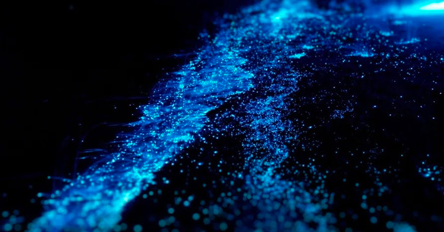 Best Places To See Bioluminescence Around The World