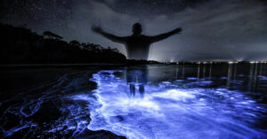 Best Places To See Bioluminescence Around The World