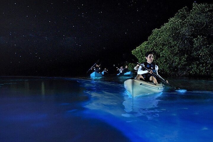 Kayakers gliding through glowing blue bioluminescent water beside mangroves under a starry sky