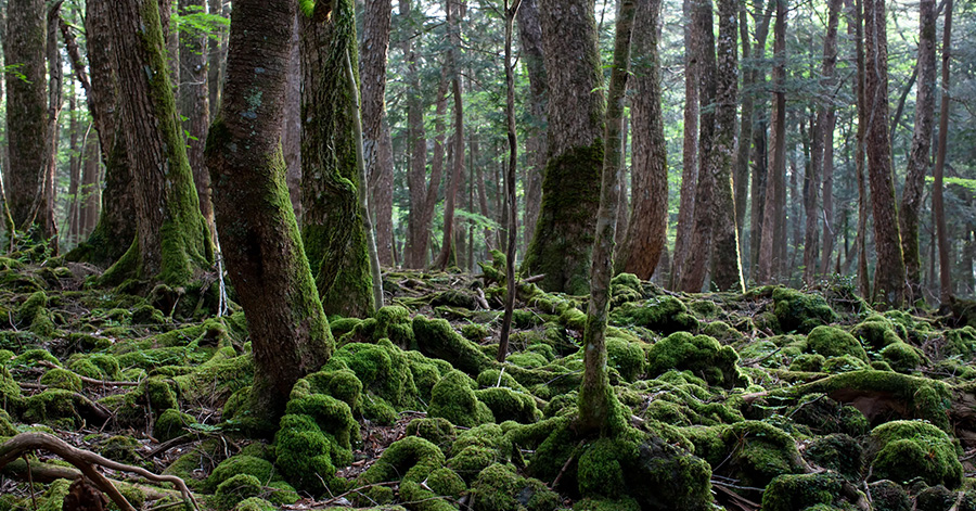 Iconic Horror Movie Locations Around The World To Visit