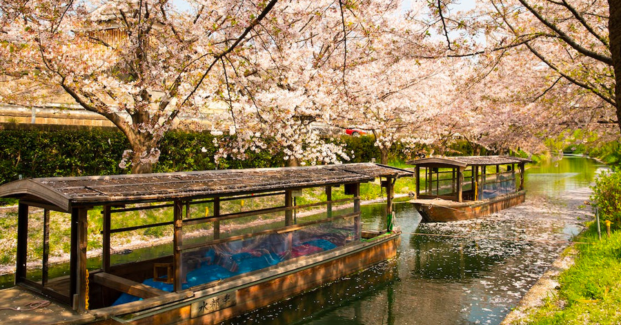 10 Ways To Save Money While Visiting Japan 2023