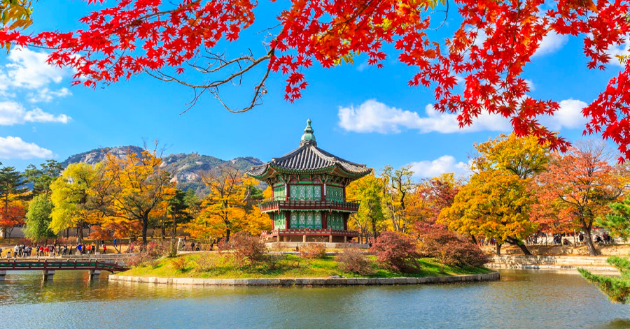 10 Ways To Save Money While Visiting Korea 2023