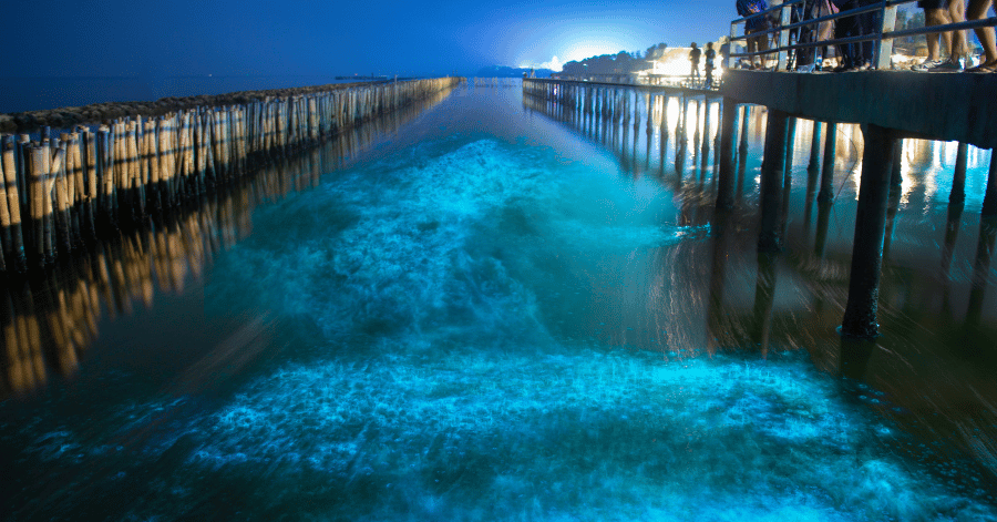 Bioluminescent blue waves glowing beneath a wooden pier at night