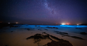 Blue bioluminescent waves glowing along a sandy beach under a starry night sky