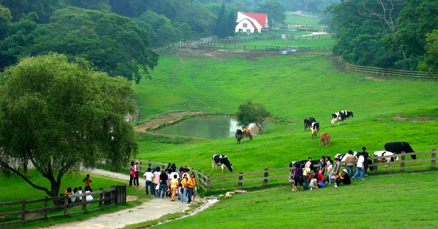 10 Affordable Leisure Farmstays In Taiwan 2023