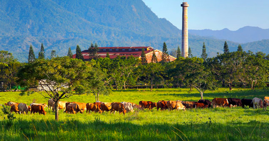 10 Affordable Leisure Farmstays In Taiwan 2023