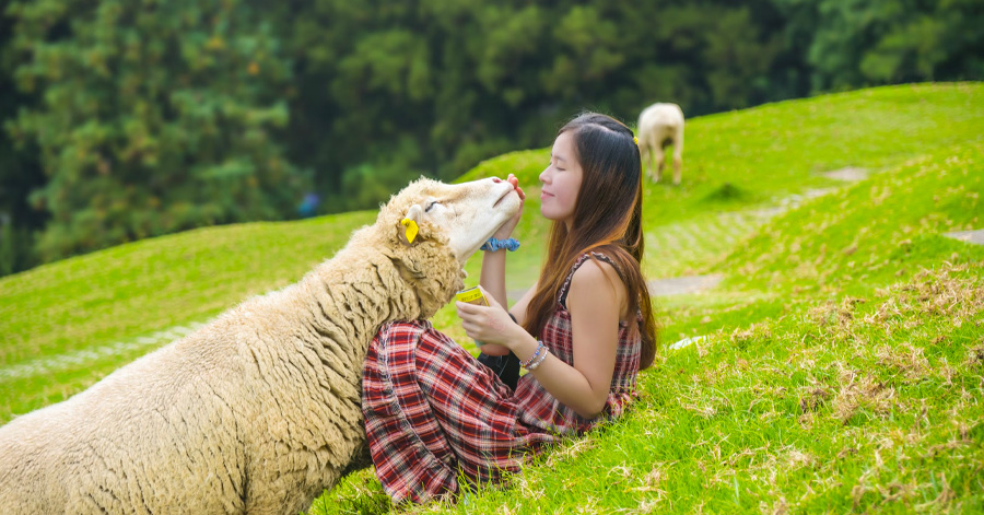 10 Affordable Leisure Farmstays In Taiwan 2023