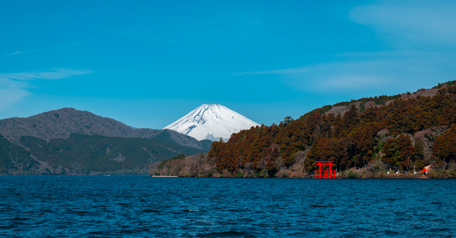 The Ultimate 14-Day Japan Itinerary: Tokyo, Kyoto, Osaka Guide