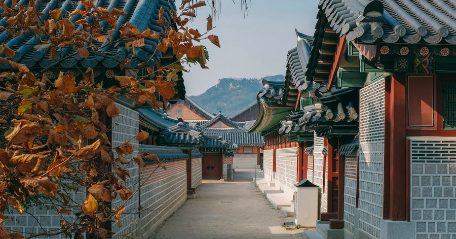 The Ultimate 10-Day Korea Itinerary