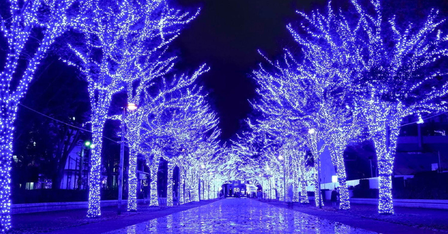 Best Christmas Markets In Tokyo 2023