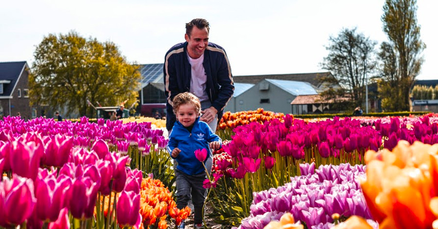 A Guide To Tulip Season In Amsterdam 2024