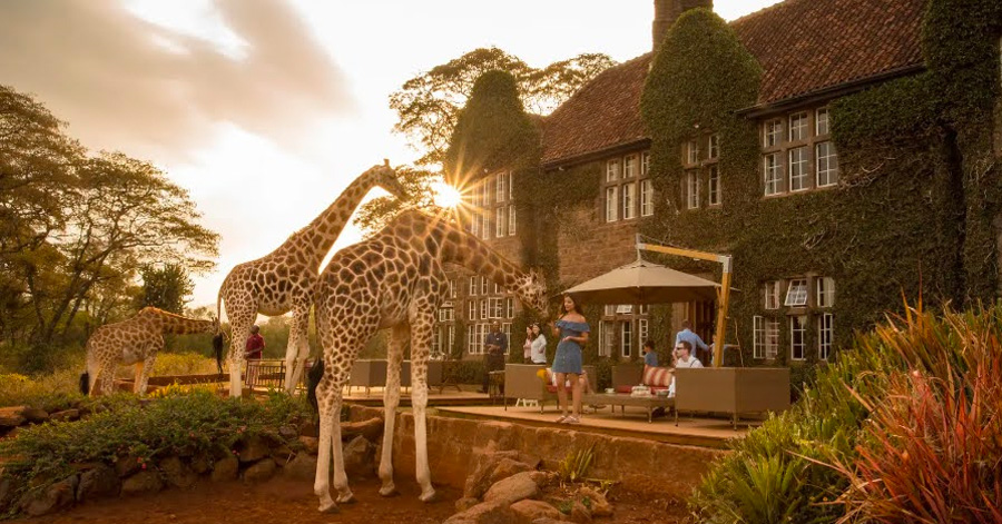 The Most Unique Themed Hotels Around The World