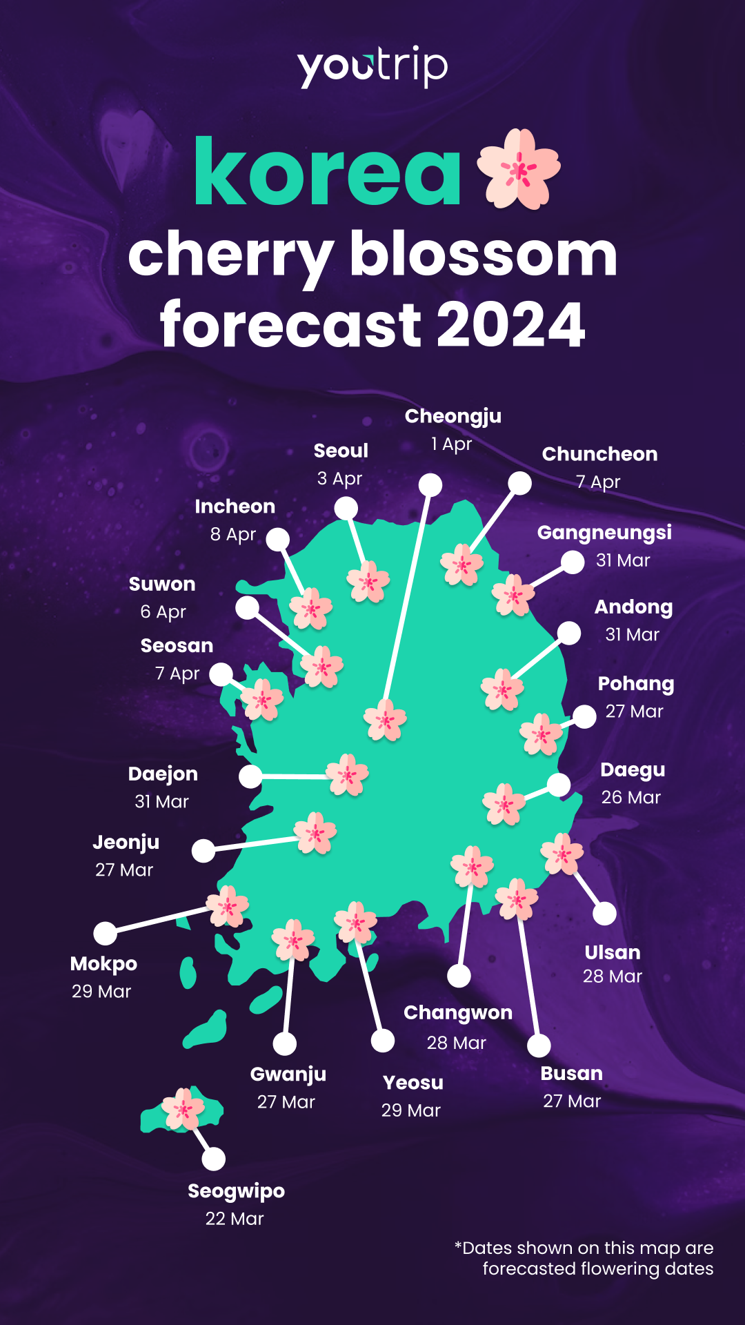 South Korea Cherry Blossom Forecast 2025 When And Where To Spot Them