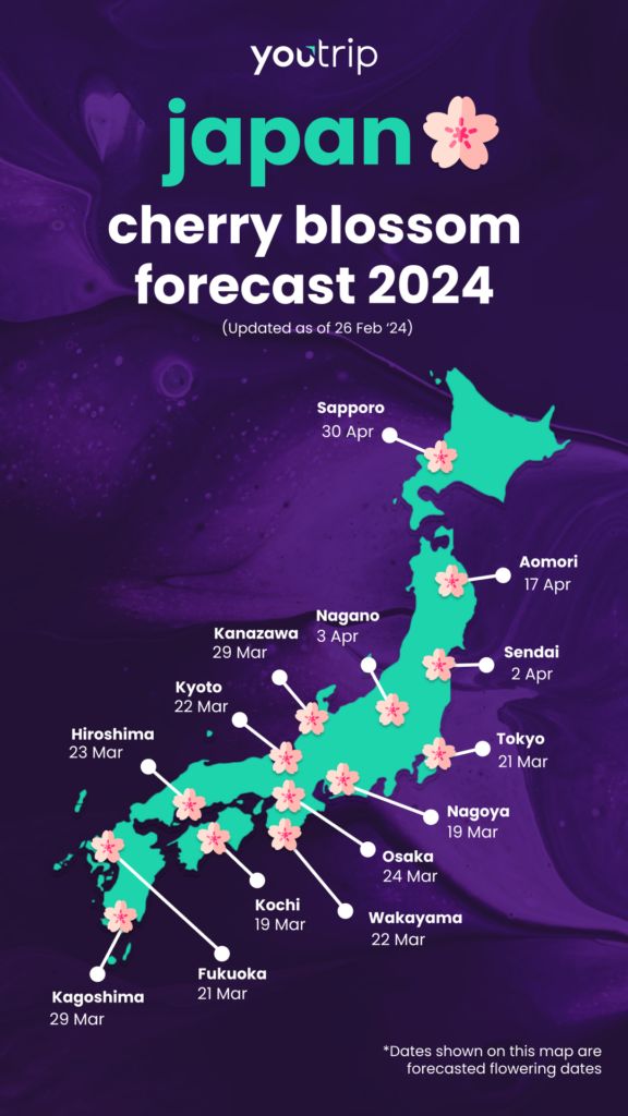 Japan Cherry Blossom Forecast 2024: When And Where To Spot Sakura