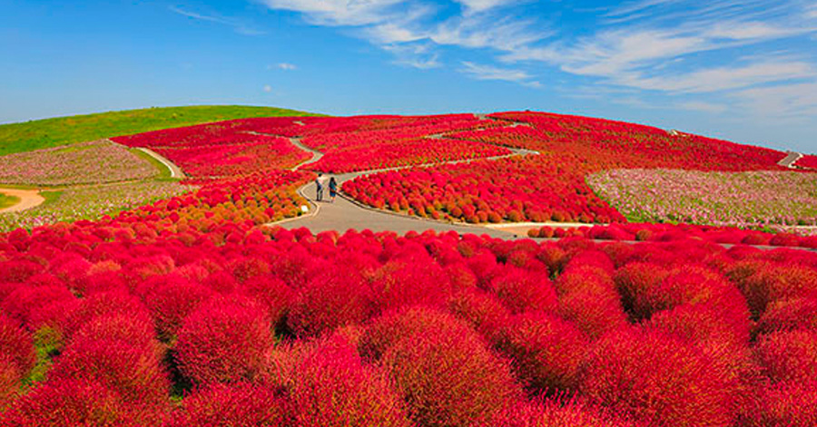 Best Time To Visit Japan 2024: Your Month-By-Month Guide