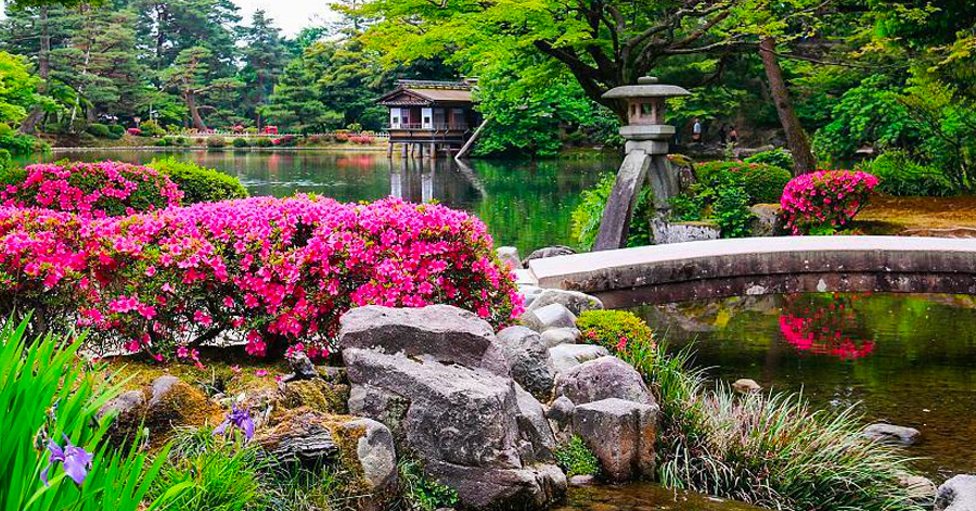 Best Time To Visit Japan 2024: Your Month-By-Month Guide