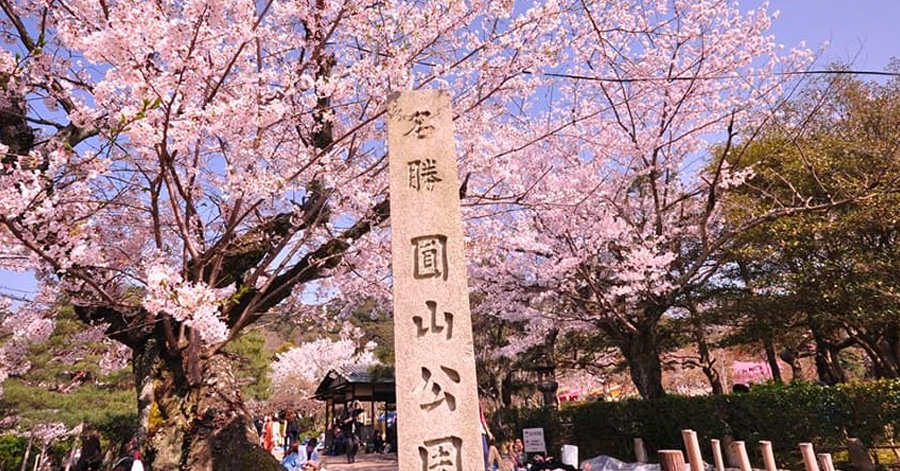 Cherry Blossom Season Japan 2025: Sakura Forecast