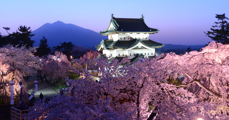 Cherry Blossom Season Japan 2025: Sakura Forecast