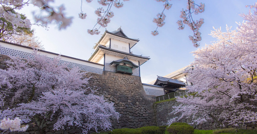 Cherry Blossom Season Japan 2025: Sakura Forecast