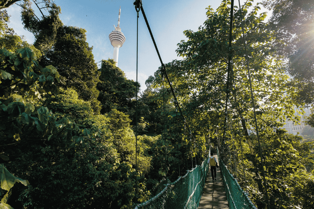 Canopy walkway through rainforest with KL Tower rising above the trees