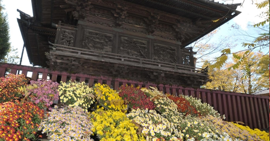 Flower Festivals In Japan To Look Forward To In 2024