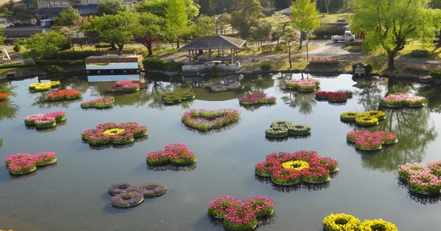 Flower Festivals In Japan To Look Forward To In 2024