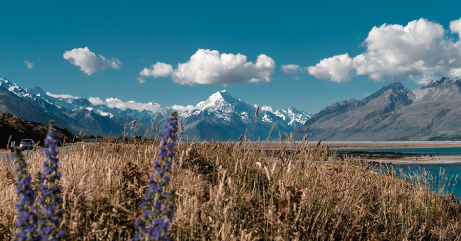 Best Time To Visit New Zealand 2024: Your Month-By-Month Guide