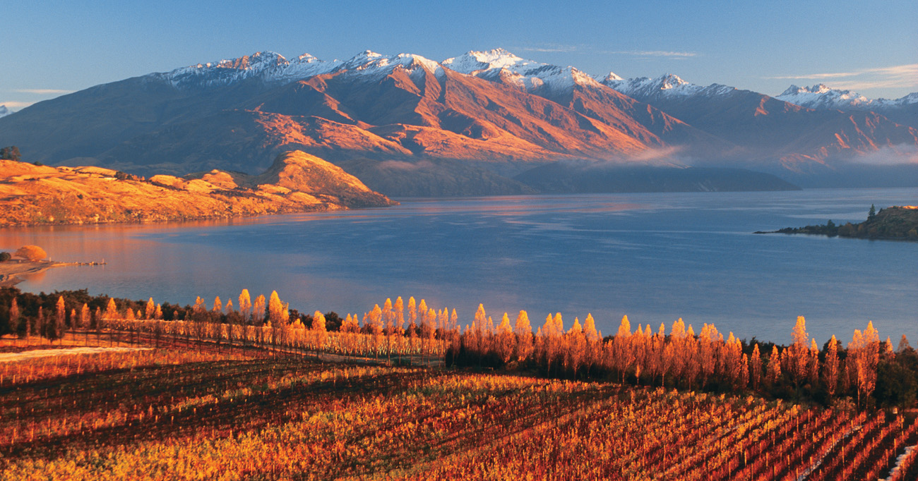 Best Time to Visit New Zealand: March to May — Autumn Vibes