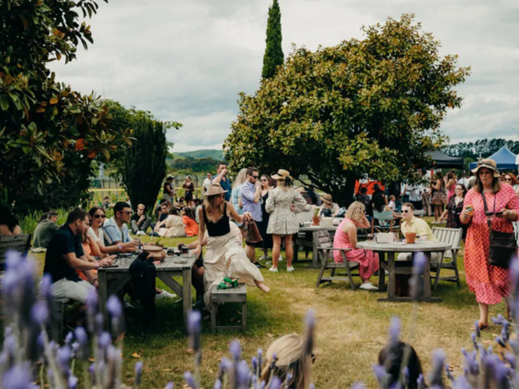 Best Time to Visit New Zealand: Toast Martinborough