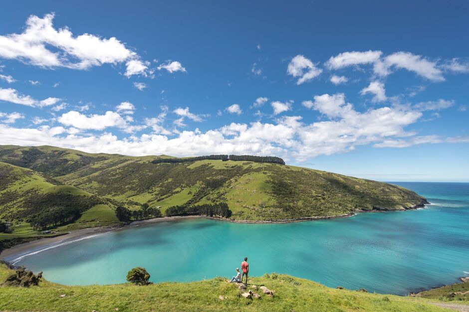 New Zealand South Island Itinerary: Akaroa