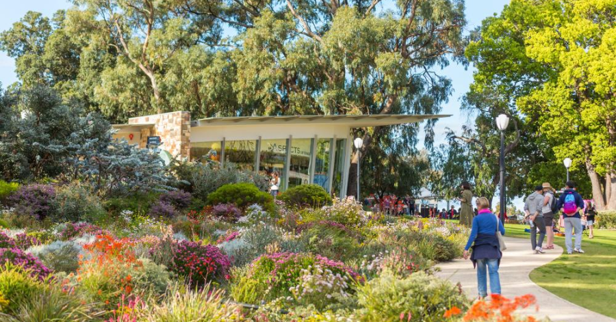 8-Day Perth Itinerary: Things To Do In Perth
