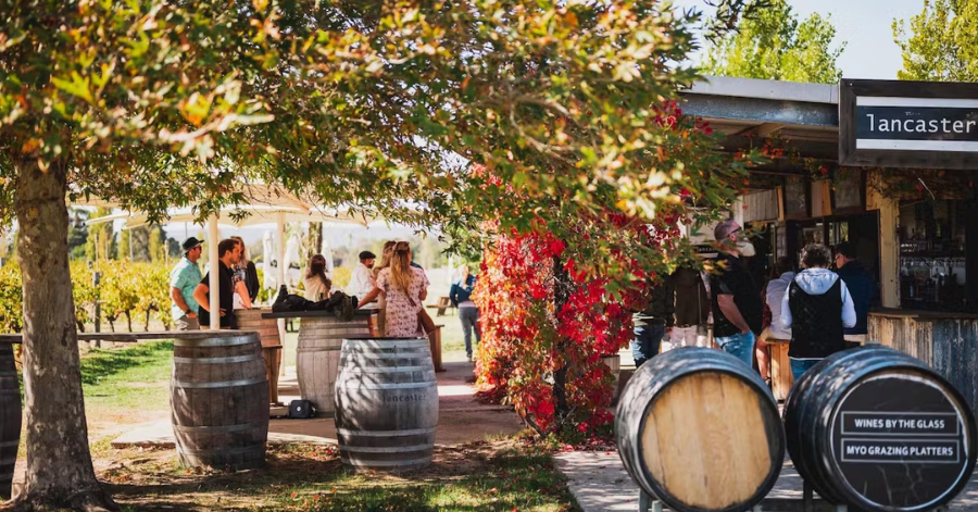 8-Day Perth Itinerary: Things To Do In Perth