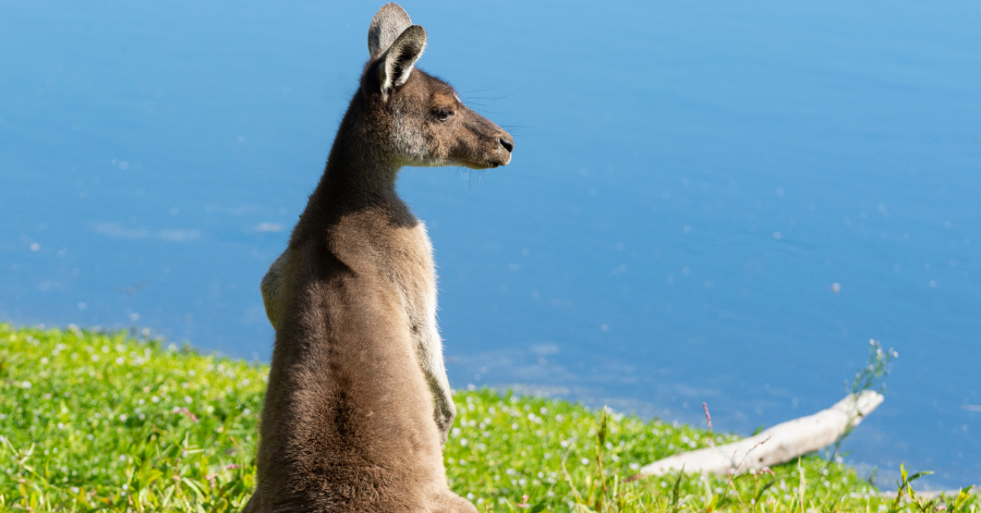 8-Day Perth Itinerary: Things To Do In Perth