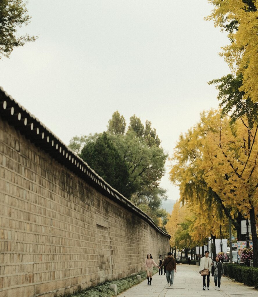 What To Do in Seoul For Free 2024 seoul city wall trail