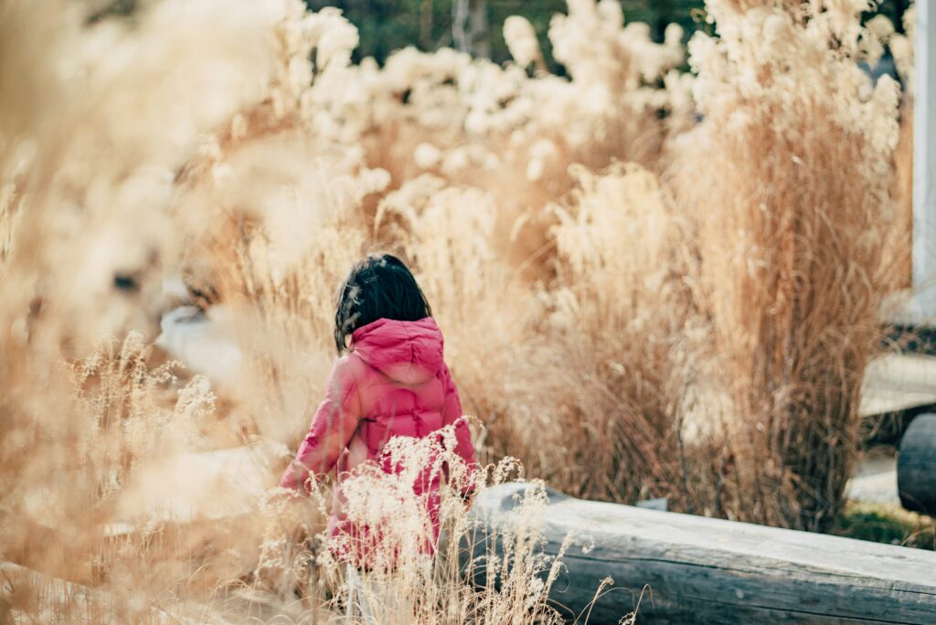What To Do in Seoul For Free 2024 seoul forest