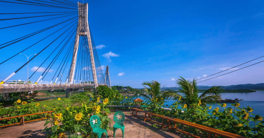 Barelang Bridge on a clear day seen from a sunflower garden, Batam