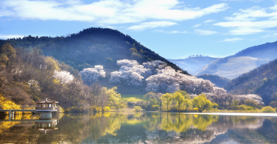 Korea in spring
