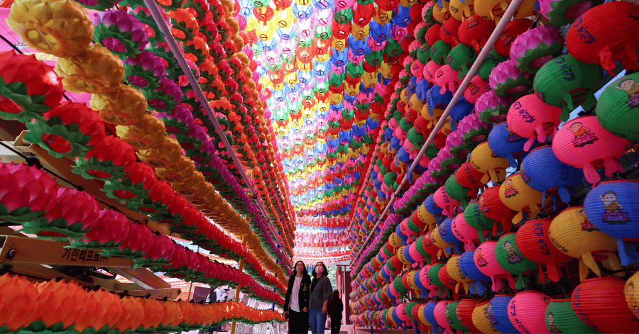 Colourful lotus lanterns strung up at a Korean temple for Buddha's Birthday