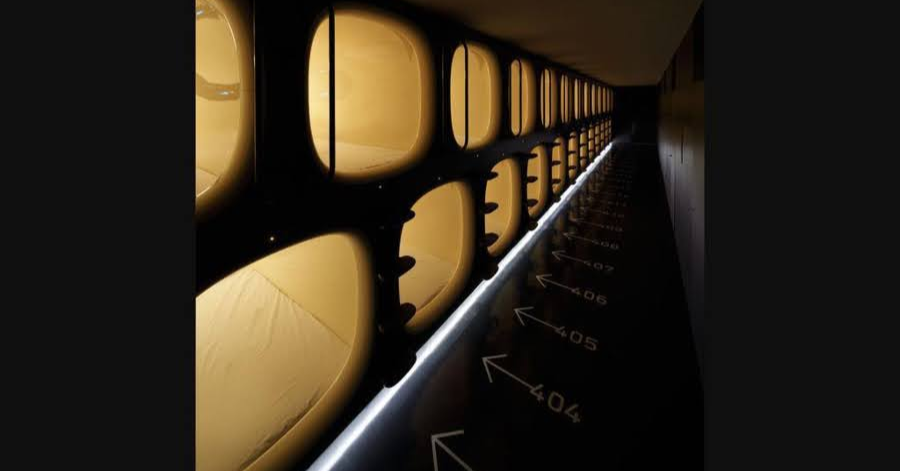 12 Best Things To Do In Kyoto 2024