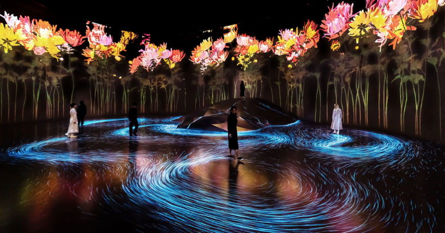 Things To Do In Tokyo — teamLab Borderless Tokyo