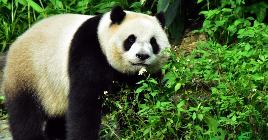 15 Best Things To Do In Taipei 2024