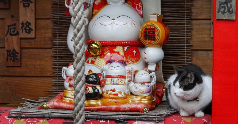 15 Best Things To Do In Taipei 2024