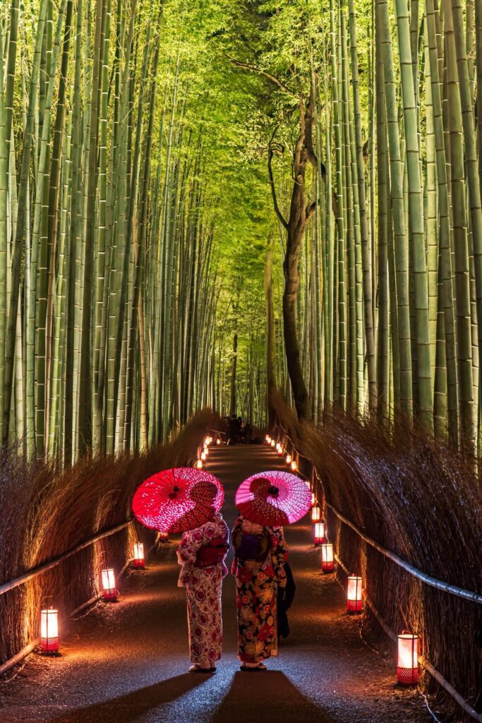 12 Best Things To Do In Kyoto 2024