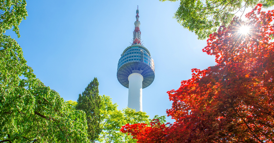 Seoul Climate Card Guide: Transit Pass For Tourists 2024