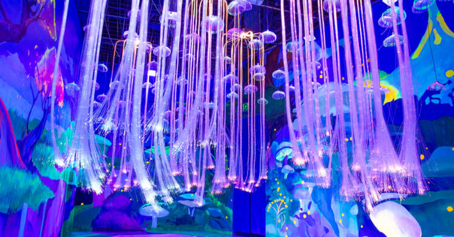 Best Things To Do In Melbourne, Australia 2024 (With Hidden Gems)