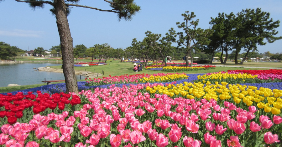 Best Things To Do In Fukuoka, Japan (Hidden Gems Included) 2024